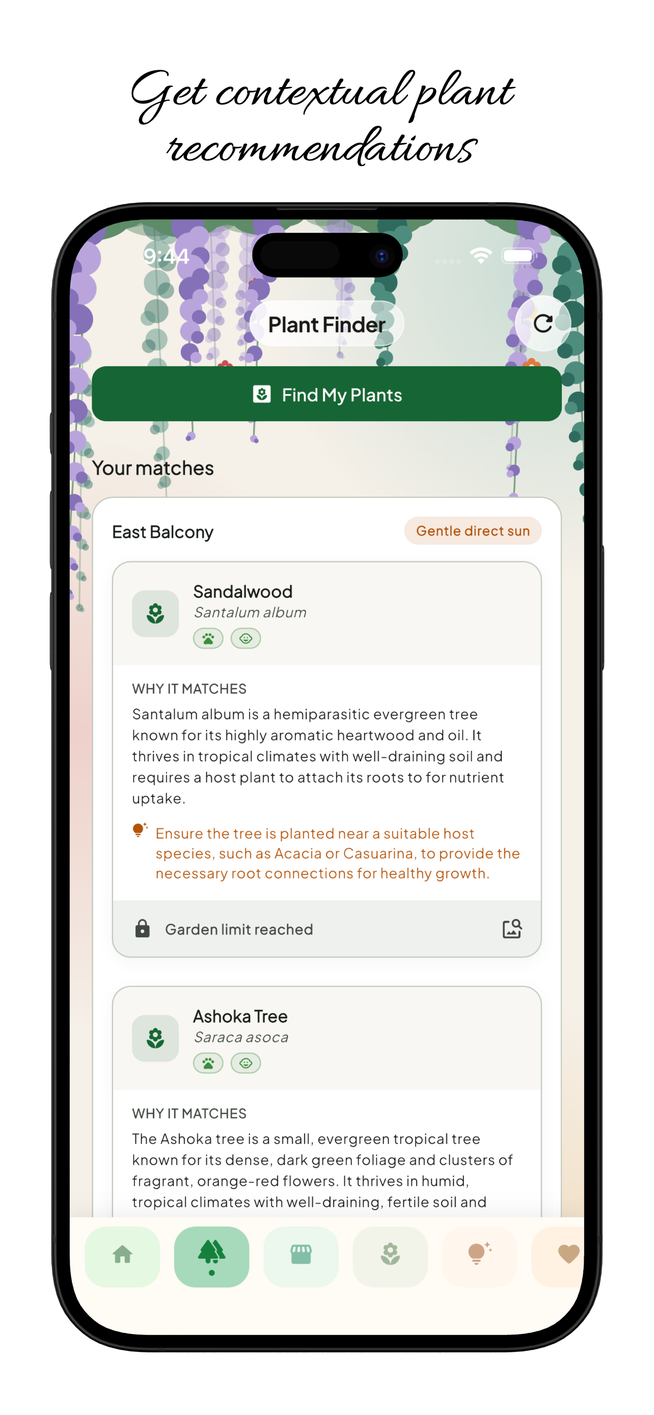 Plant Finder recommendations for an east-facing balcony