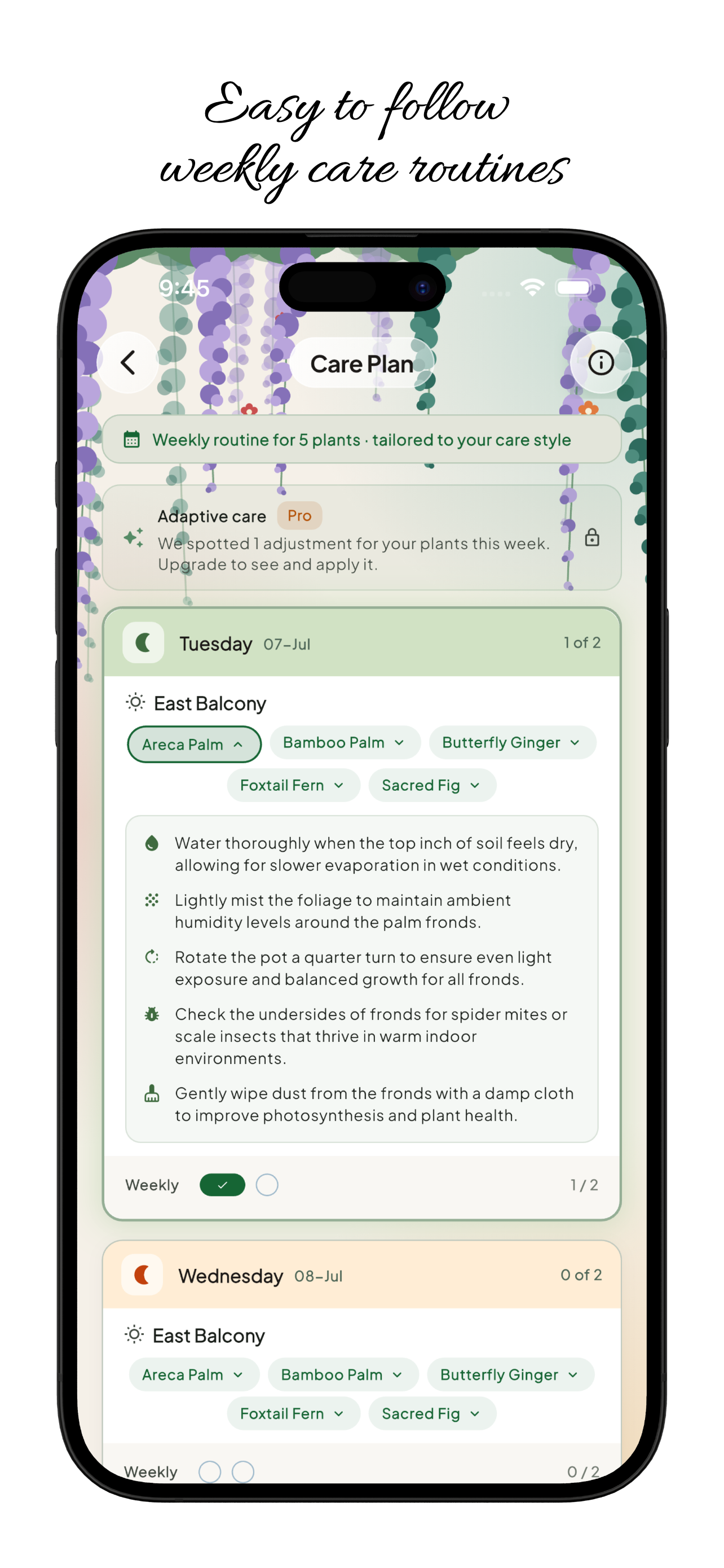 Personalised weekly care plan